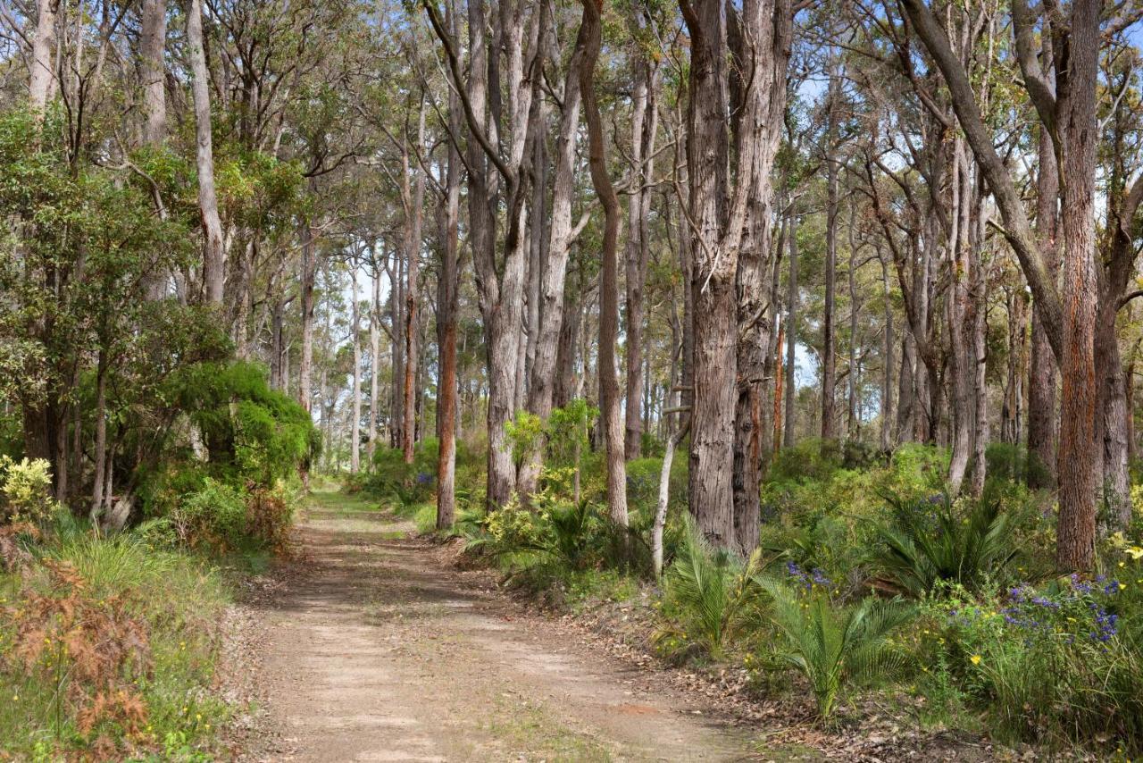 Witchcliffe Redgate Forest Retreat المظهر الخارجي الصورة