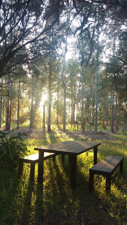 Witchcliffe Redgate Forest Retreat المظهر الخارجي الصورة