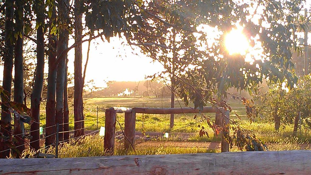 Witchcliffe Redgate Forest Retreat المظهر الخارجي الصورة