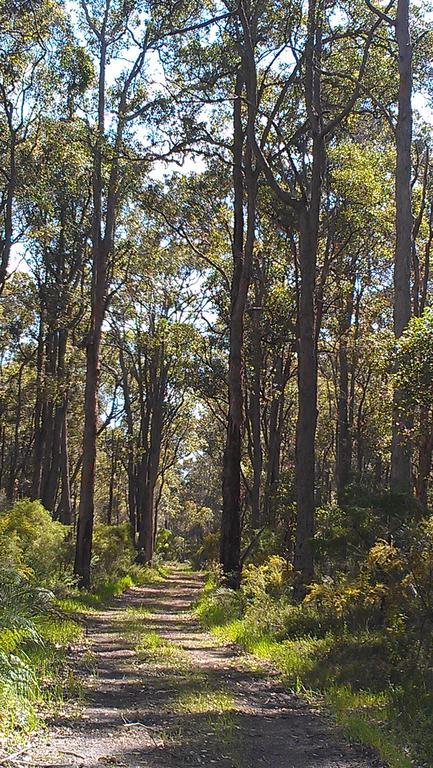 Witchcliffe Redgate Forest Retreat المظهر الخارجي الصورة